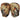 Harrier Focus pads