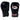 Gants de boxe TWINS SPECIAL BG-N V2 BLACK